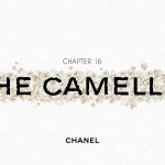 INSIDE CHANEL: LE CAMELIA